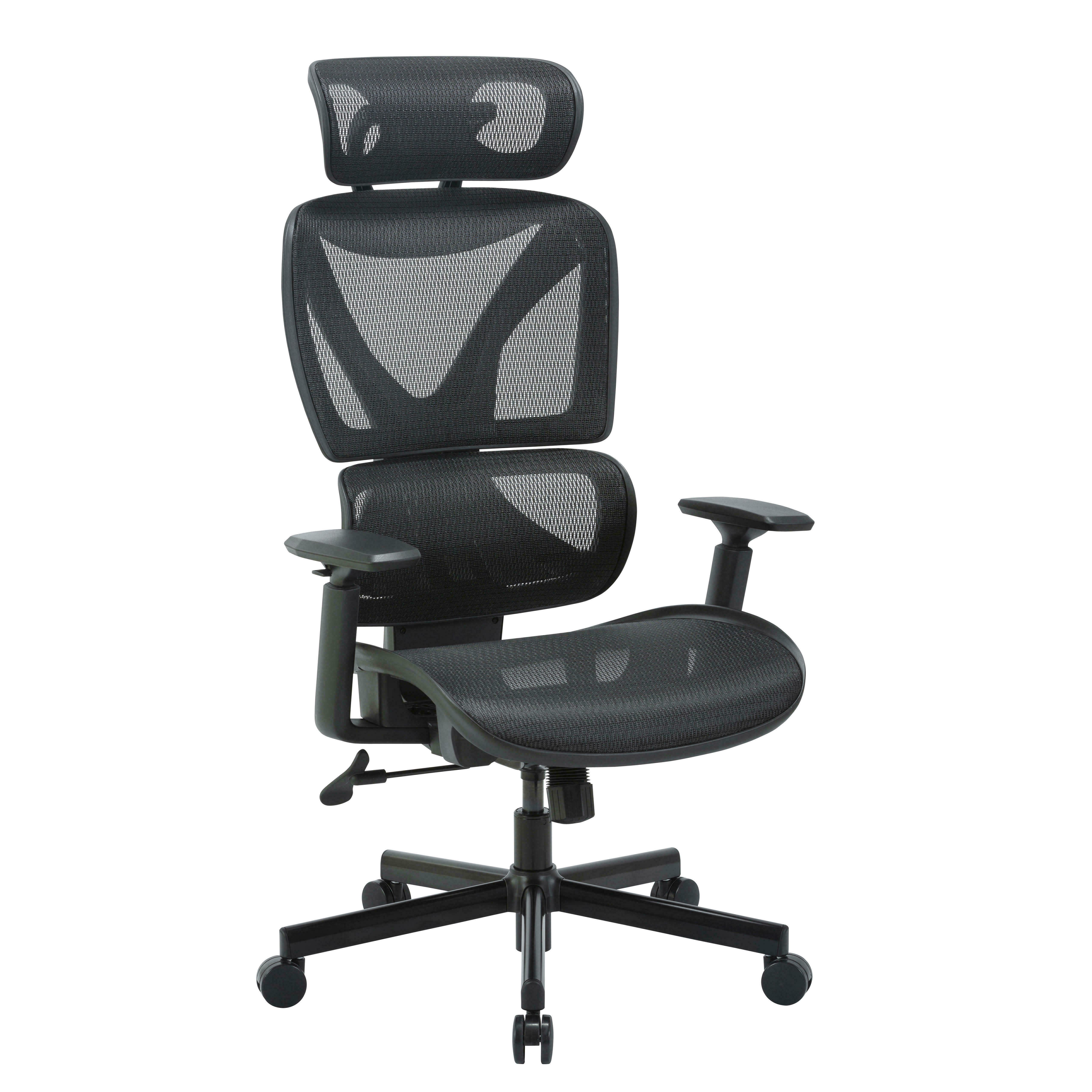 Ergonomic Mesh Office Chair with Auto-Balance Segmented Backrest - Moustache®