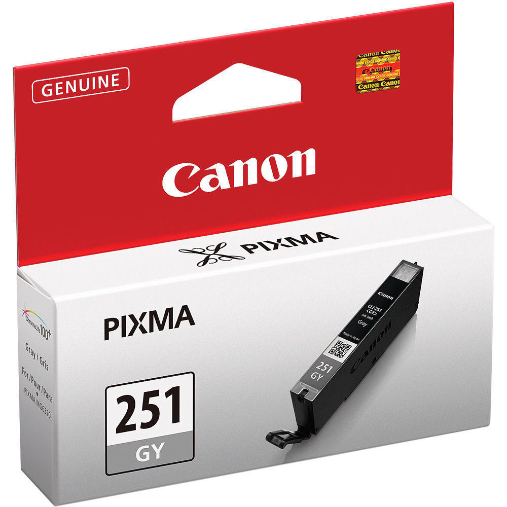 Canon CLI-251GY Original Gray Ink Cartridge (6517B001)