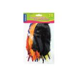 Feathers, Decorative Medium Sizes, Assorted Colours, 20/pack