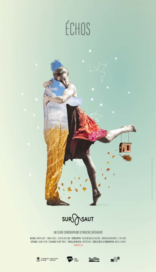 Affiche Sursaut Echos Numerique Marilou Castonguay