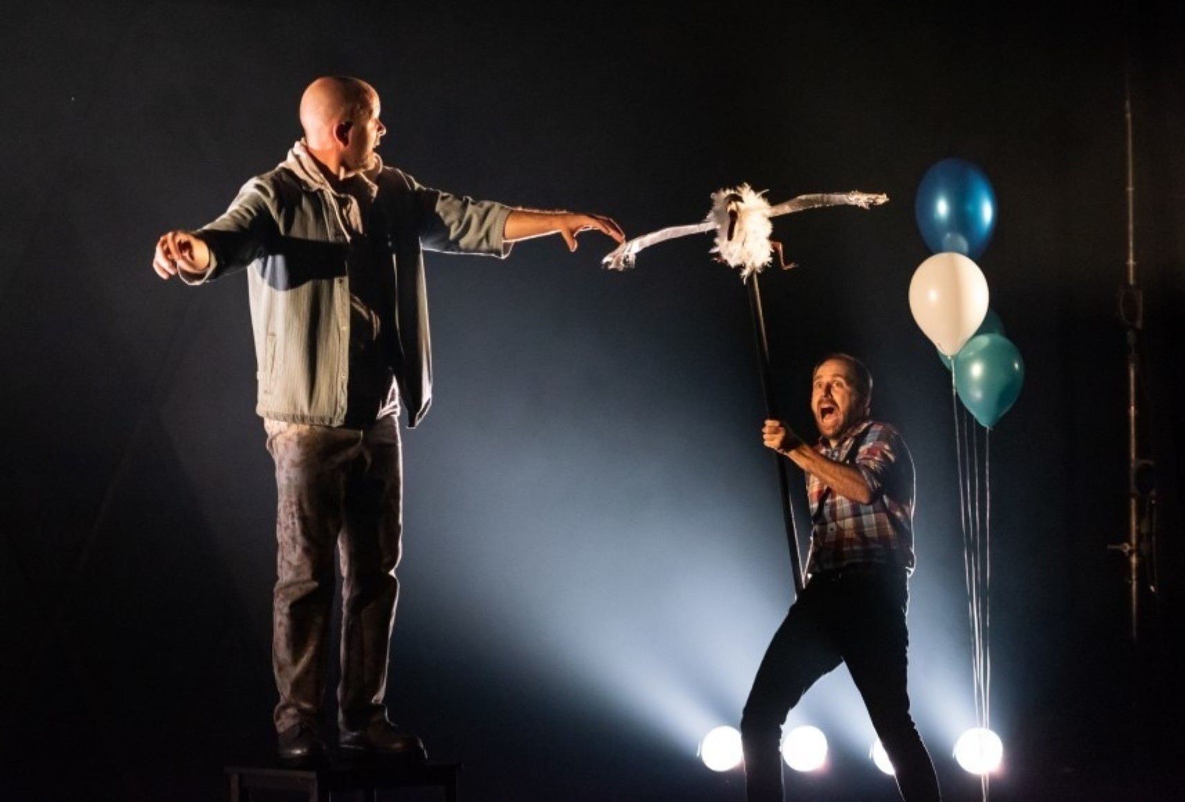 Une mouette et son conteur