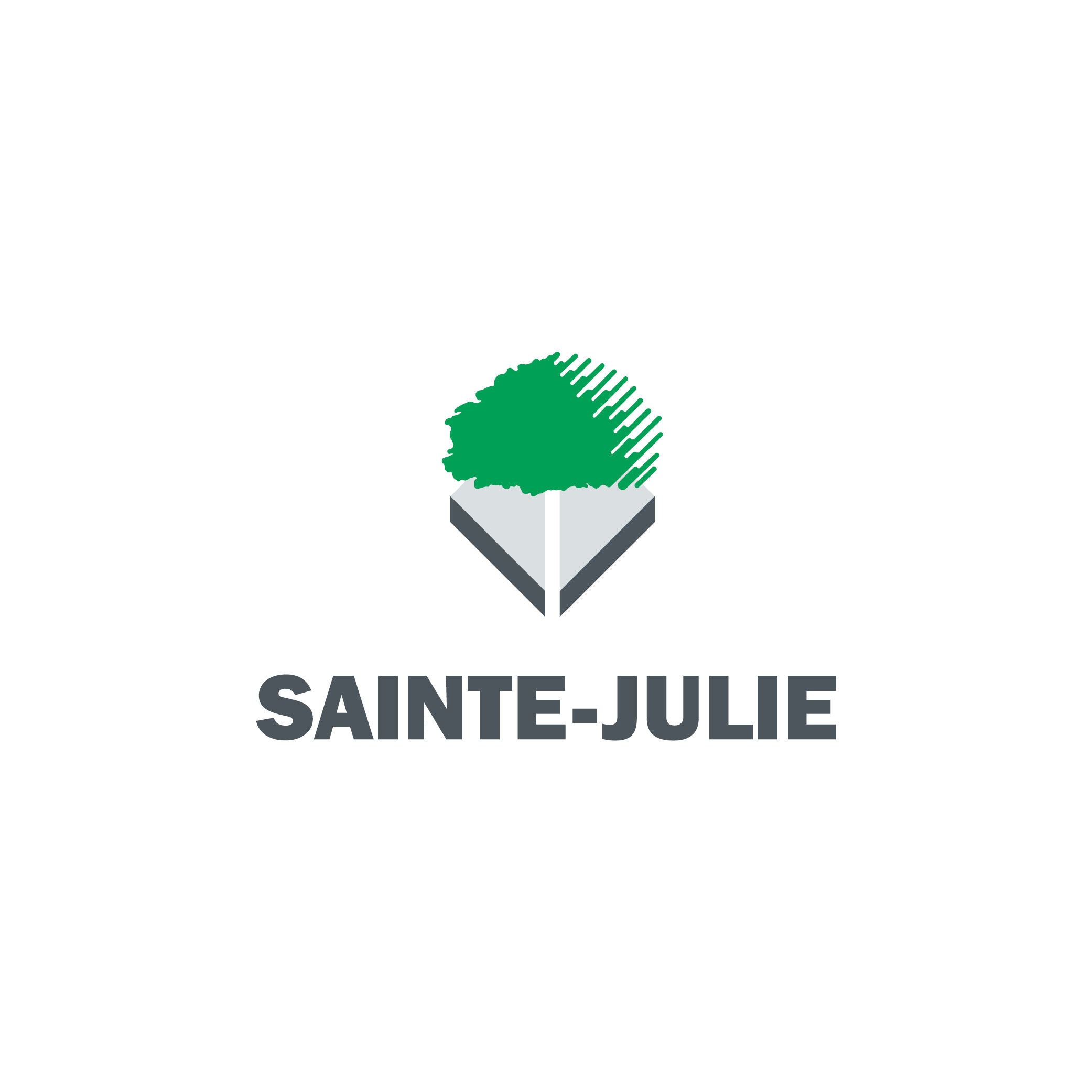 SainteJulie consulte