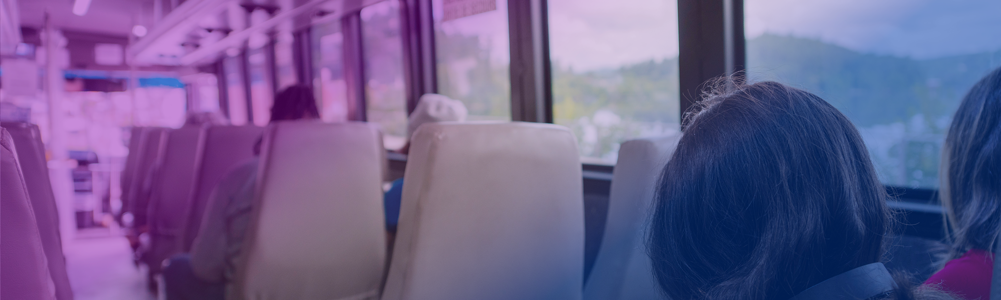 Transcollines at your service