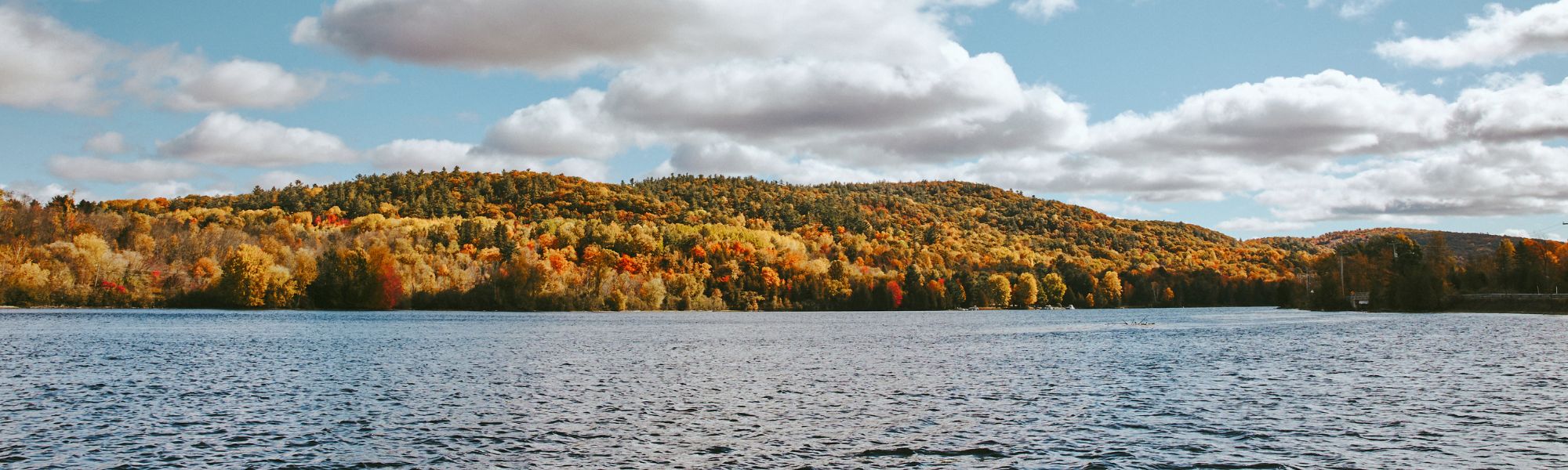 Chelsea - Consultations publiques