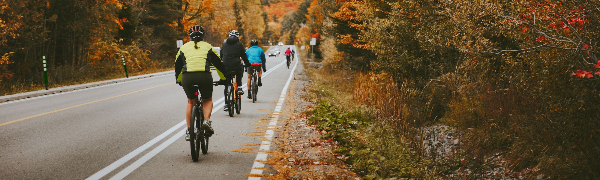 Chelsea - Consultations publiques