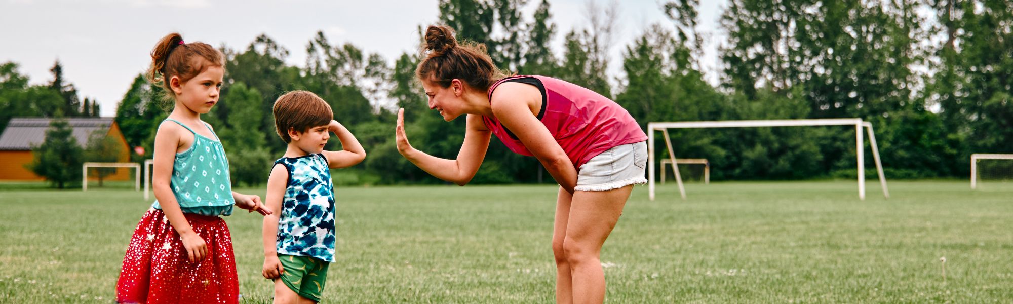 Chelsea - Consultations publiques