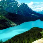 Anne & Michael Anne & Michael