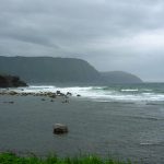 Rose, Walter & Elizabeth