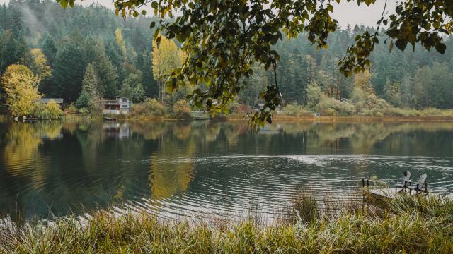 Cusheon Lake, Salt Spring Island with autumn coloured trees.
