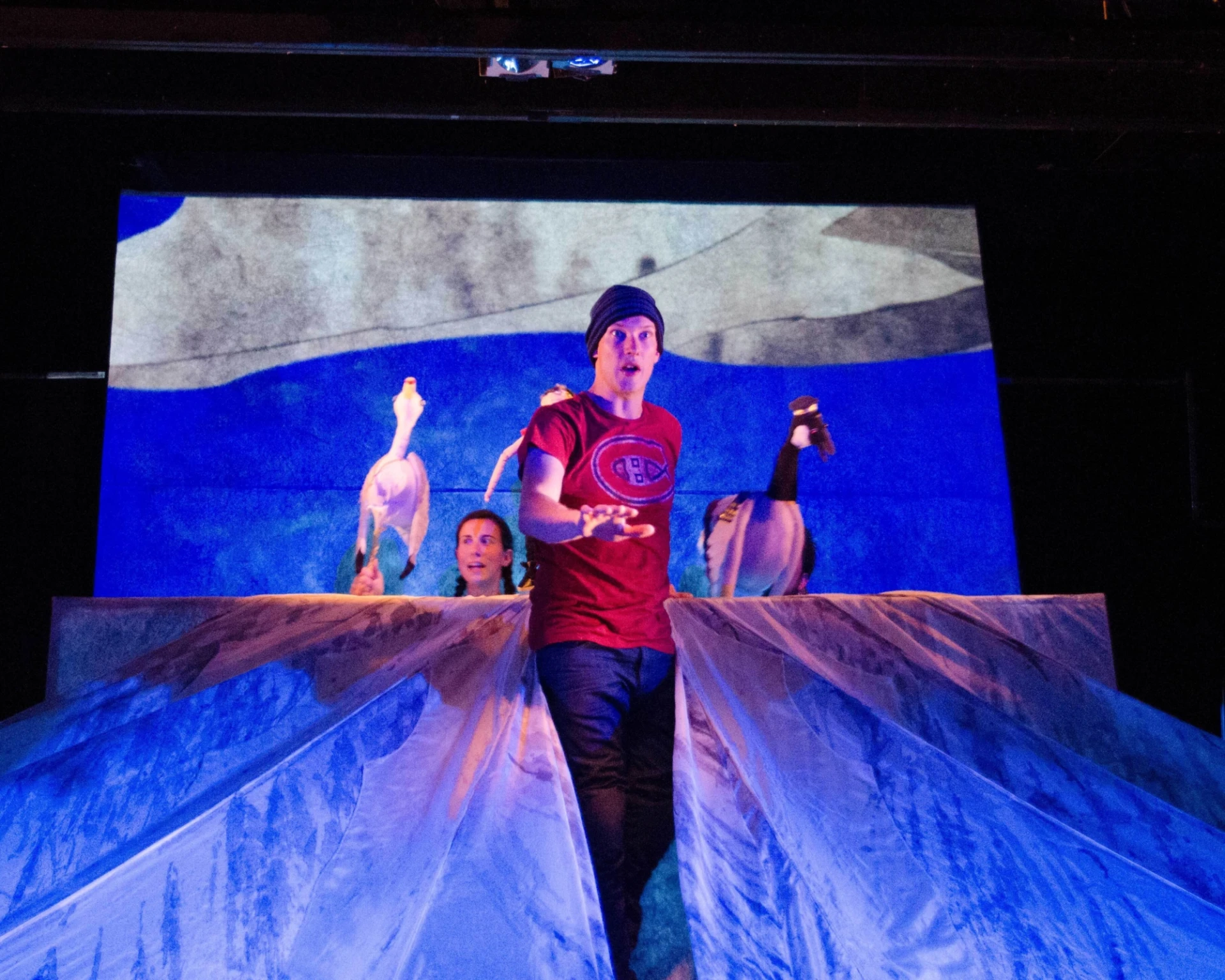 TBD Spectacle Le Merveilleux Voyage De Real De Montreal Galerie05