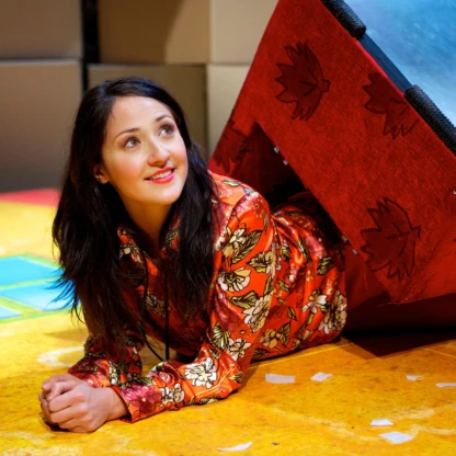 TBD Spectacle Petite Verite Inventee Vignette