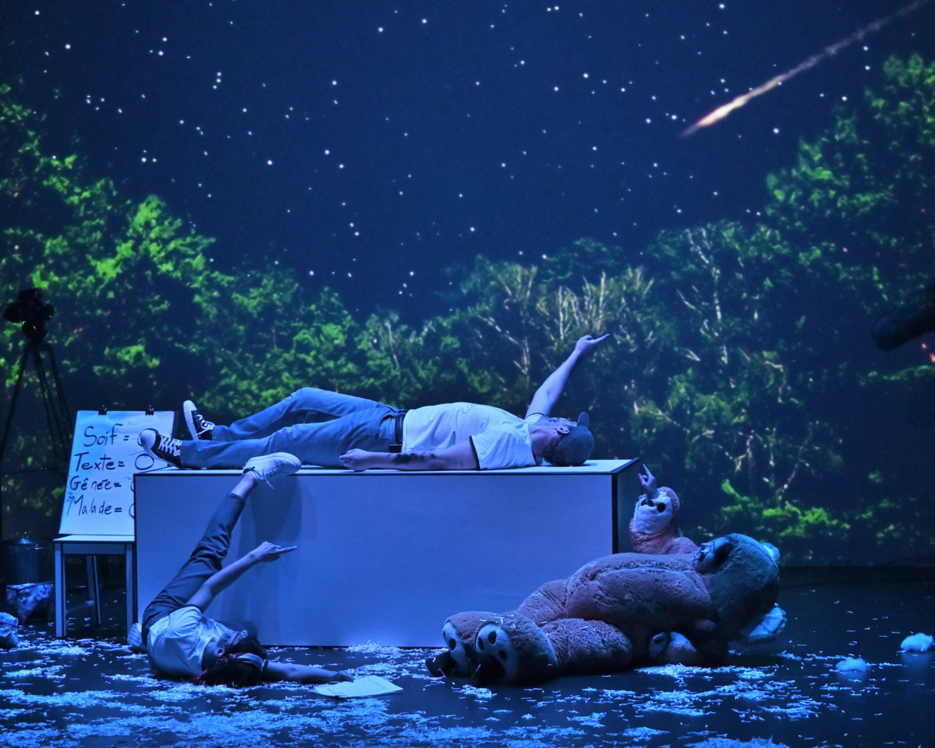 TBD Spectacle Tonne De Brique Galerie05