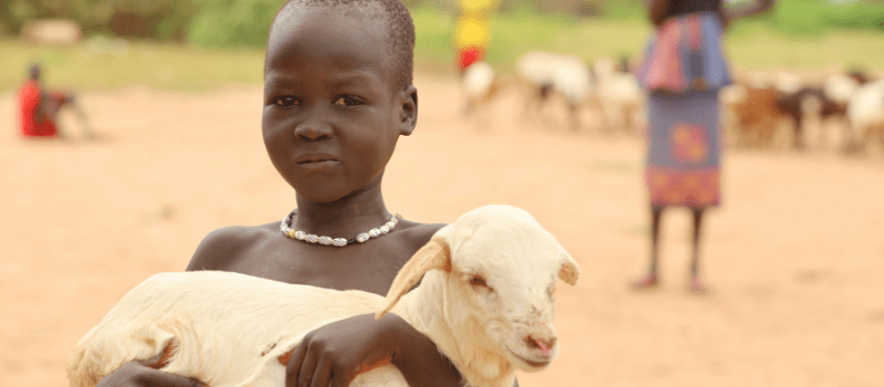 The Missing Link in Humanitarian Response: Why One Health Matters More Than Ever