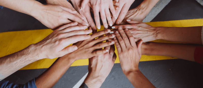 Upcoming World Rabies Day Webinar: You, Me, and Community - Turning Action Into Impact