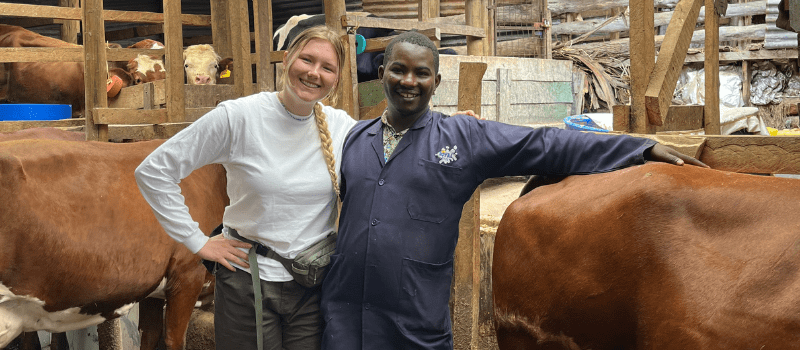 VETS Volunteer Voices: How Small Changes Spark Big Dairy Futures