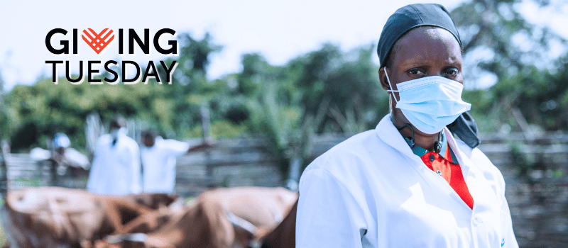 Veterinarians Without Borders launches triple-match GivingTuesday campaign empowering Community Animal Health Workers worldwide