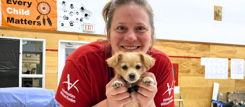 Veterinarians Without Borders launches 2025 Holiday Match campaign to bring care closer for animals and communities in need