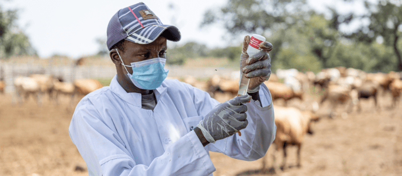 An Ounce of Prevention: Community Animal Health Workers and the Power of Early Action in Senegal