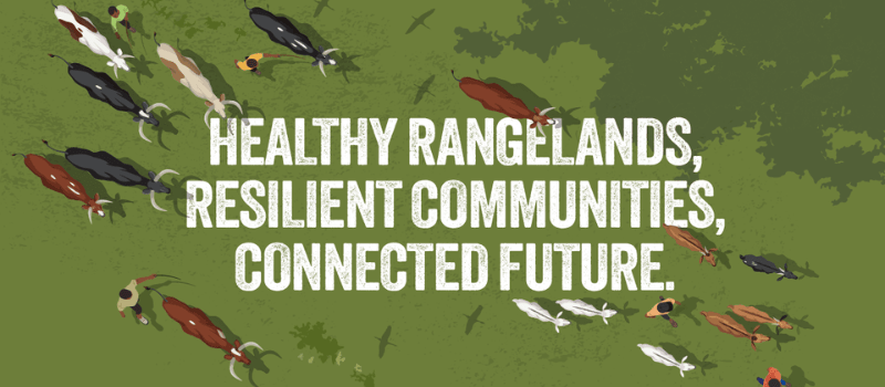 Veterinarians Without Borders Joins VSF International to Launch Global Manifesto During UN Year of Rangelands and Pastoralists