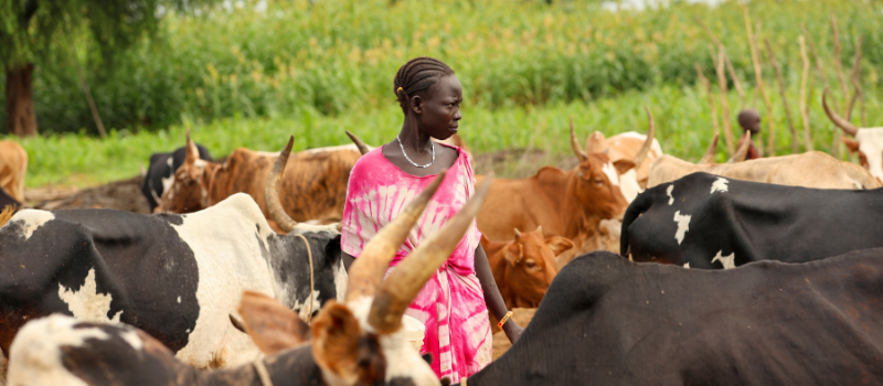 Veterinary Care That Moves: Why Animal Health Systems Must Adapt to a Mobile World