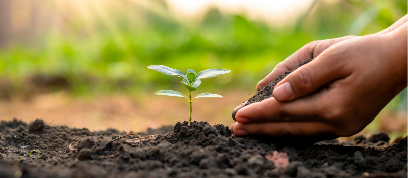 Women's Month 2026 Webinar: Give to Gain - Women, Volunteerism & Mutual Growth