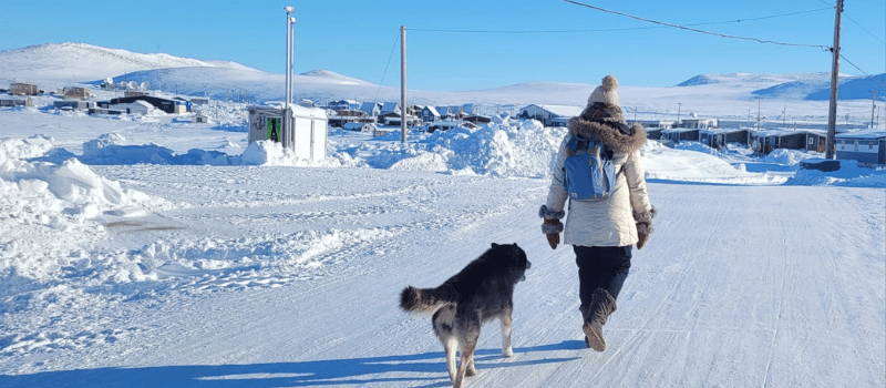 When Veterinary Care Isn’t Within Reach: What access to care means for animals and communities