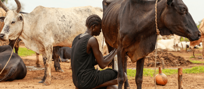 Healthy Rangelands, Healthy Communities: Biodiversity Beyond Wilderness