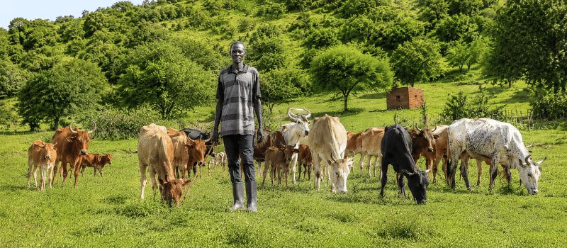 When Communities Lead: Lessons in Resilience from South Sudan