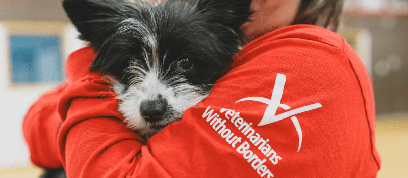 Spring Match Campaign Raises More Than $83,000 to Expand Access to Veterinary Care