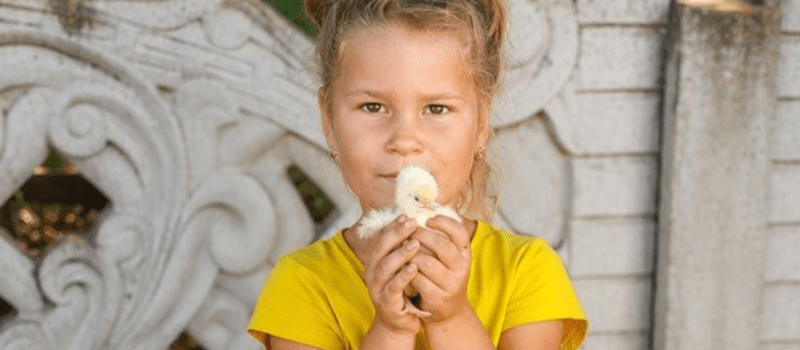 Beyond Emergency Relief: Restoring Livelihoods and Preserving Compassion
