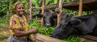Strengthening One Health Systems for Women Smallholder Farmers