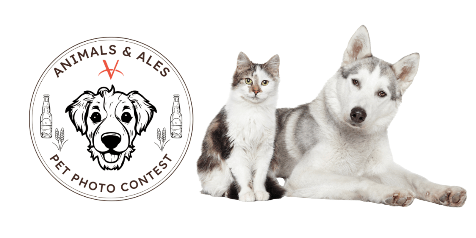 Animals & ales - aug 2025