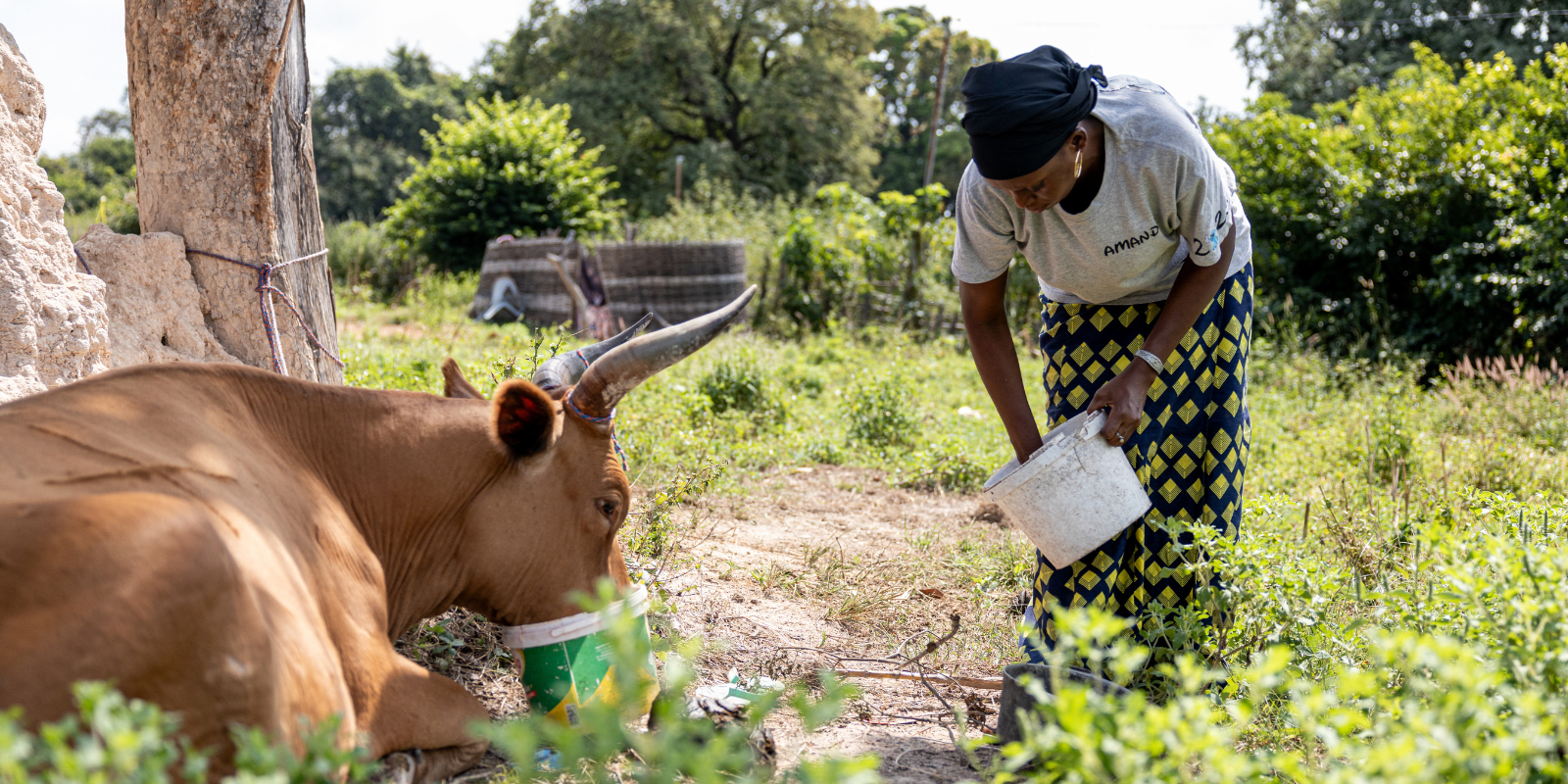 COHERS Volunteer Opp