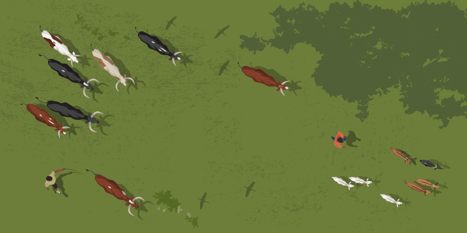 IYRP 2026 Campaign - Feb 17 2026