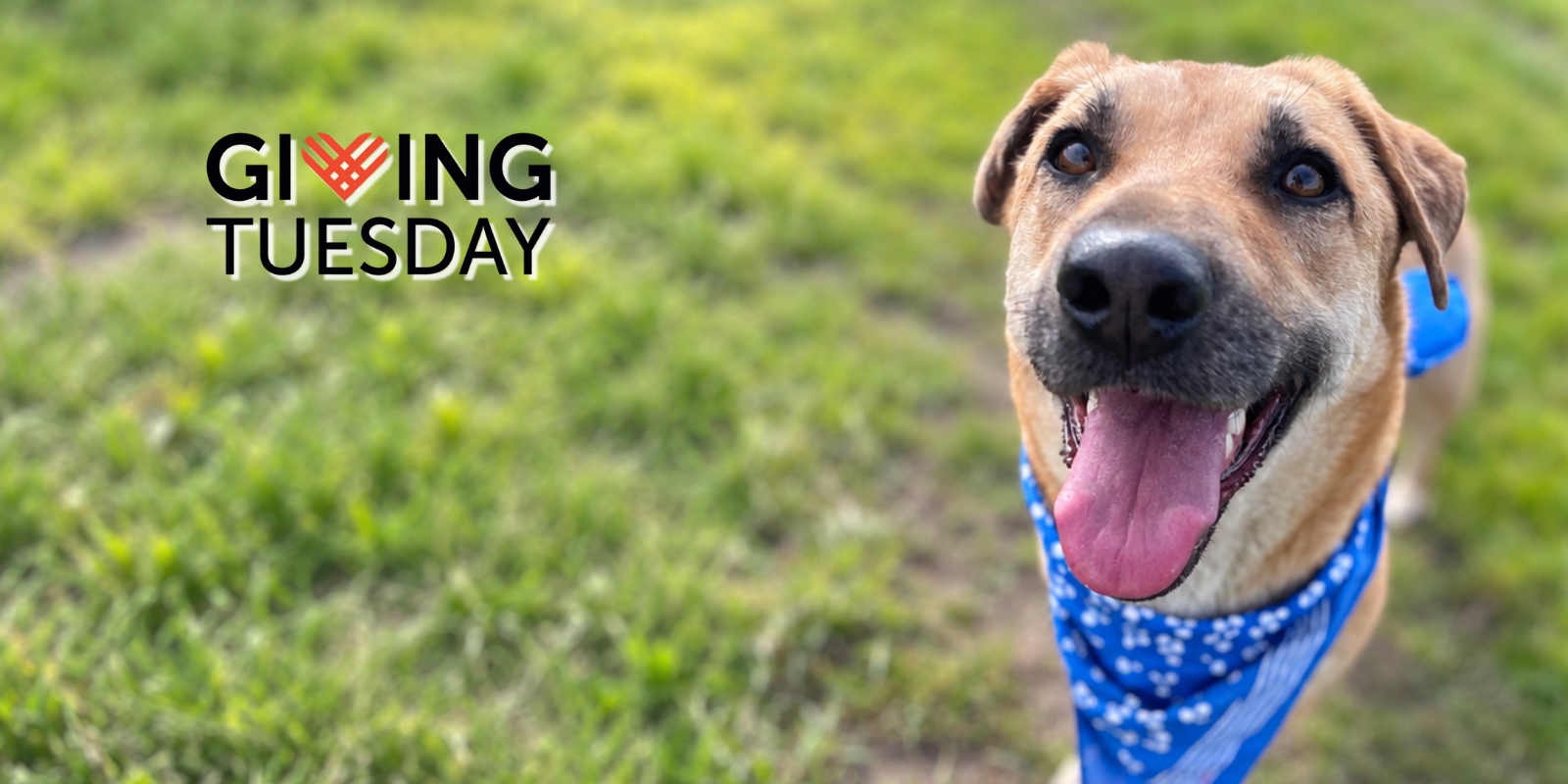 Giving Tuesday 2026 - LAUNCH Oct.27