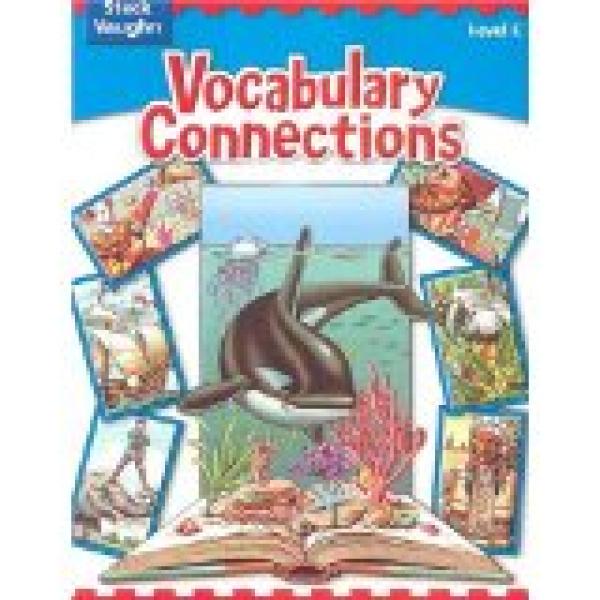 Vocabulary Connections: Level C