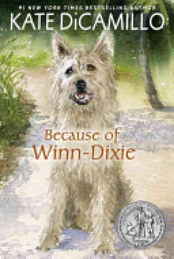 Because of Winn-Dixie