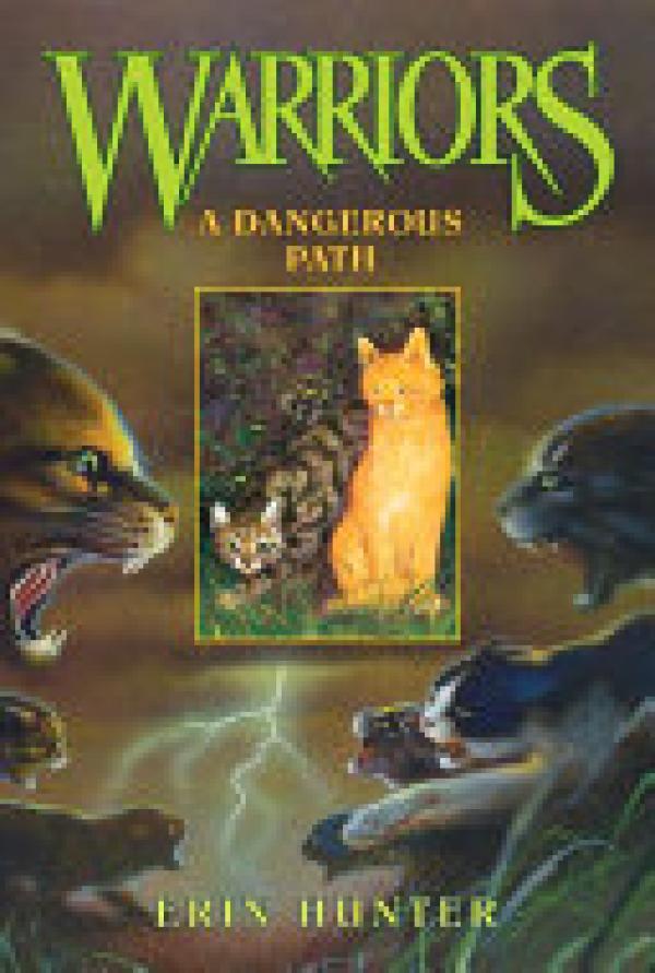 Dangerous Path,A