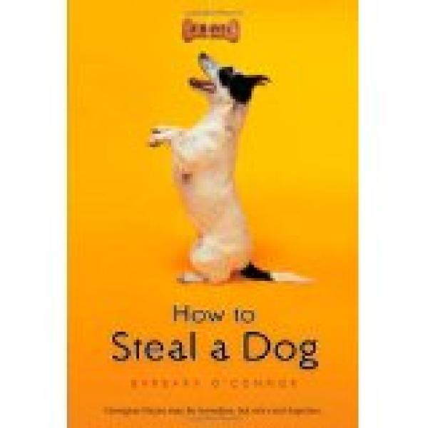 How to Steal a Dog