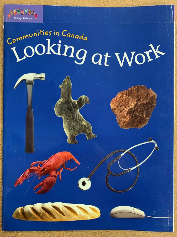 Looking at Work Mini Text Abss MV GR 2