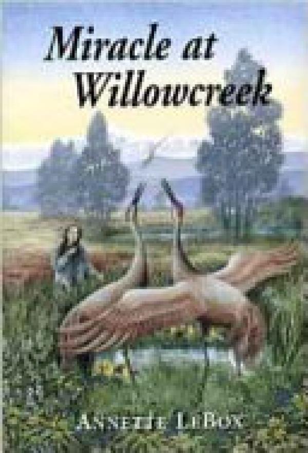 Miracle at Willowcreek - New Ed