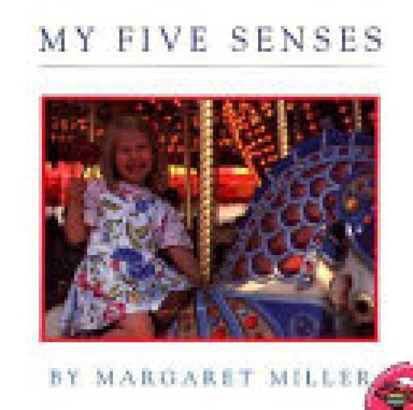 My Five Senses
