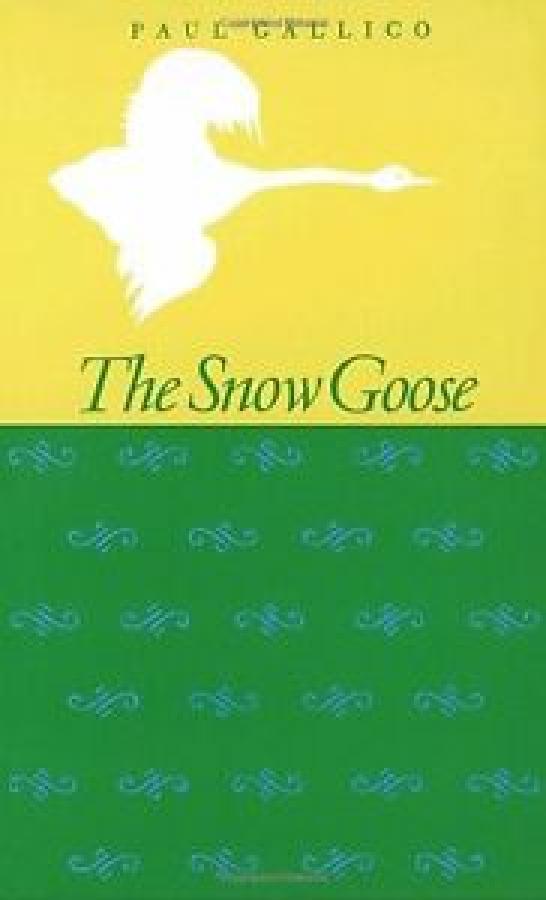 Snow Goose