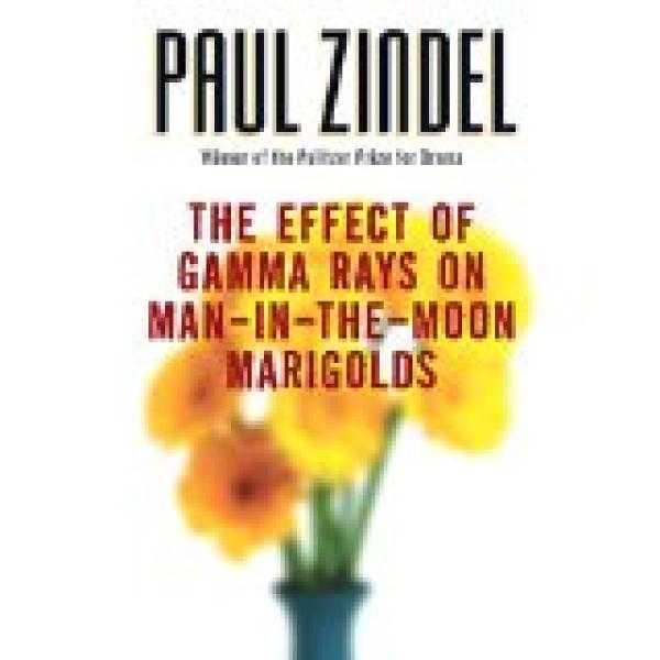 Effect of Gamma Rays on Man-In-The-Moon