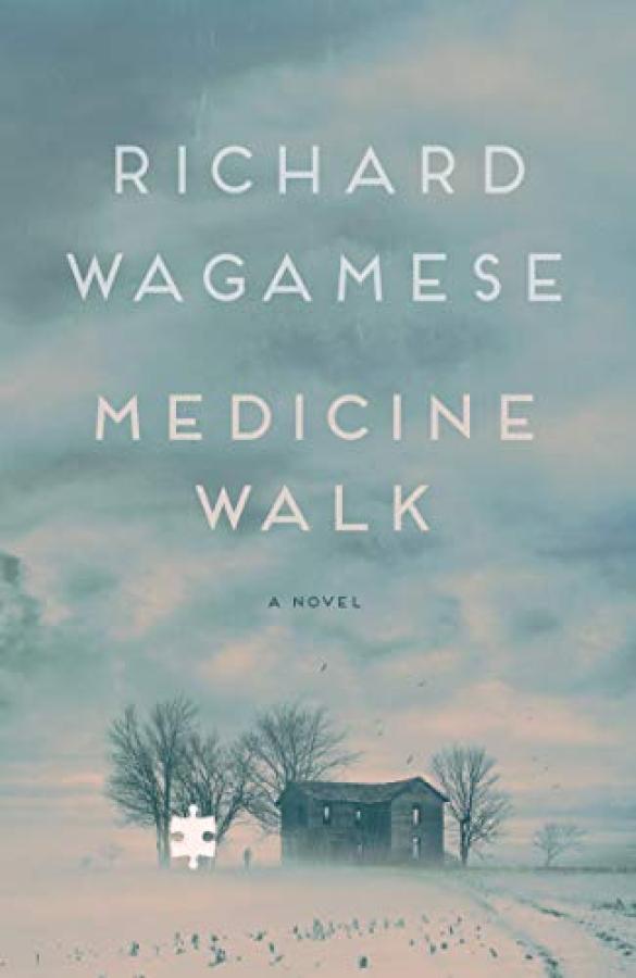 Medicine Walk: A Novel