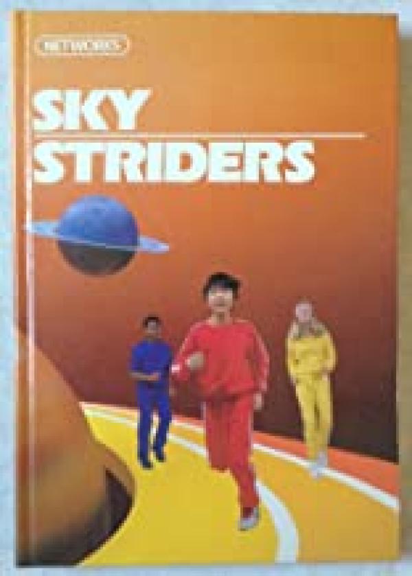Sky Striders - Networks