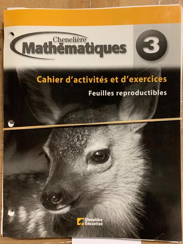 Mathematiques 3 Cahier De L'eleve BLM