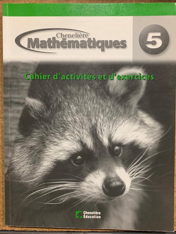 Mathematiques 5e Annee Cahier D'activite