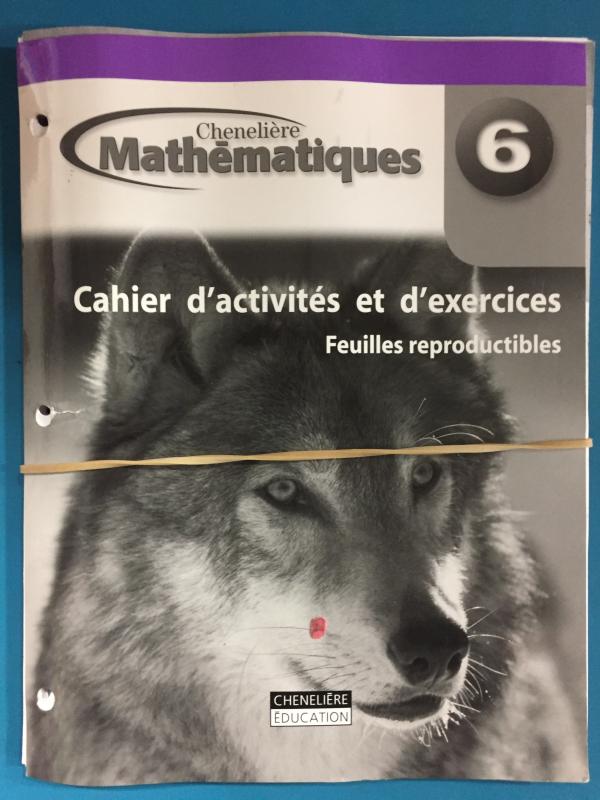Mathematiques 6 Cahier Feuilles Reproduc