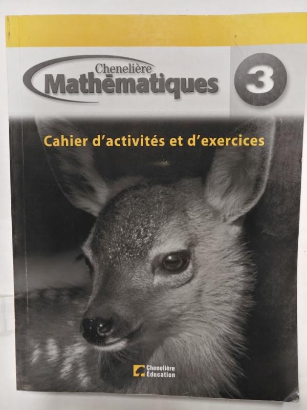 Mathematiques 3e Annee Cahier D'activite